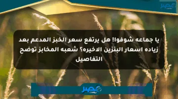 يا جماعة شوفوا! هل يرتفع سعر الخبز المدعم بعد زيادة أسعار البنزين الأخيرة؟ شعبة المخابز توضح التفاصيل